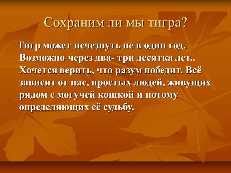 Сохраним ли мы тигра?    Тигр может исчезнуть не в один год.